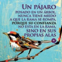 /album/fotogaleria/frases-de-motivacion-la-confianza-jpg/